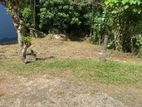 Land for quick sale in Thalawathugoda (SSPL-121)