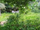 Land for Rent Atulkotte
