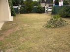Land for Rent Nugegoda