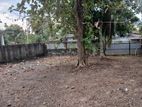 Land for Rent Pannipitiya