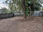 Land for Rent Pannipitiya