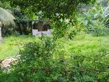 Land for rent