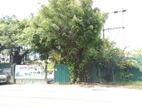 Land for Rent Mabima Heiyanthuduwa