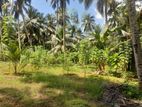 Land for Rent Ingiriya