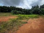 Land for Rent Vavuniya