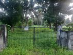 Land for Rent – Habarakada, Homagama