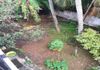 Land for Rent Homagama - Widok 3