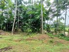 Land for Rent in Biyagama