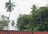 Land for Rent in Boralesgamuva ( Bellanwila ) - Ansicht 5