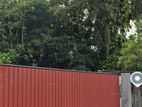 Land for Rent in Boralesgamuva ( Bellanwila )