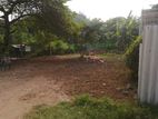 Land for Rent in Dehiwala