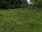 Land for Rent in Dompe
