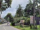 Land for Rent in Ganemulla ( kadawatha road facing )