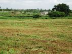 LAND FOR RENT IN HOKANDARA. LR-76