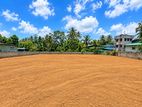 Land for Rent in Homagama