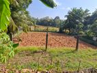 Land For Rent in Kadawatha | Kirillawala