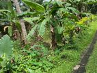 Land for Rent in Kaduwela, Weliwita