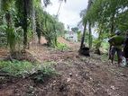 Land for Rent in Kegalle