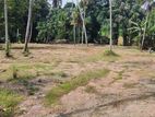 Land for Rent in Kottawa