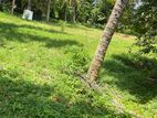 LAND FOR RENT IN KOTTAWA-HR-788