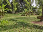 Land for Rent in Kottawa, Makumbura. Two Arces (360 Perch)