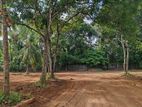 Land for Rent in Makumbura Kottawa
