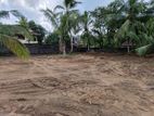Land for Rent in Makumbura Kottawa