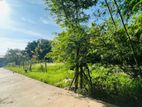 Land for Rent in Negombo