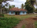 Land for Rent in Pamunugama