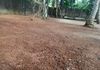 Land For Rent In Panagoda Homagama - Ansicht 4