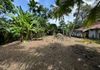 Land for Rent in Piliyandala Town - Ansicht 2