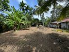 Land for Rent in Piliyandala Town