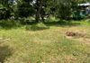 LAND FOR RENT IN THALAWATHUGODA-HR-789 - Ansicht 2
