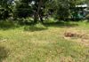 LAND FOR RENT IN THALAWATHUGODA-HR-789 - Ansicht 3