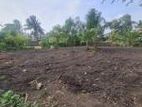 Land for Rent – Ja-Ela, Weligampitiya (Palliya Road)