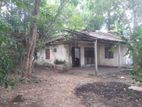 Land for Rent Kelaniya