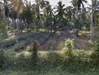 LAND FOR RENT KIRIKITHA, WELIWERIYA (RLA-GAMWW-28)