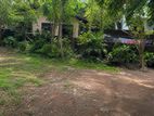Land for Rent Kotte