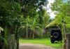 Land for Rent Kotte – pohled 5