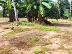 Land for Rent Near Kottawa - One Acres