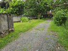 Land for Rent in Seeduwa