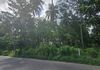 Land for Rent Ranala – pohled 2