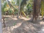 Land for Sake in Katunayake 32.5 P