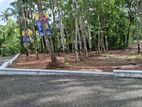 Land for Sala Diulapitiya