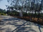 Land for sale 04km from Panadura town