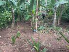 Land for Sale 10 Minutes to Kaduwela Junction