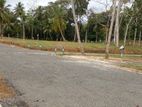 Land for Sale 10 Purchase Block in Galle Hapugala