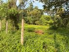 Land for Sale 107P Pannala