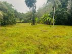 Land for Sale – 137 Perches in Pugoda, Gampaha