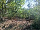 Land for Sale Kalutara